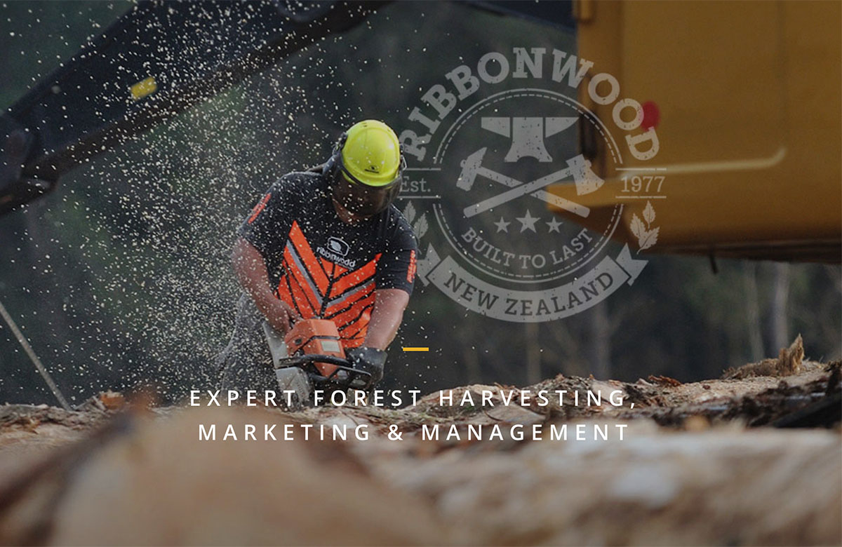 Ribbonwood Forestry - Industrial Website Photography